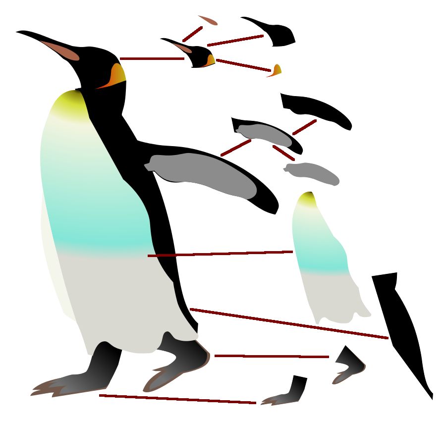Example: King penguin structured into its subobjects